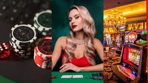 7755bet
